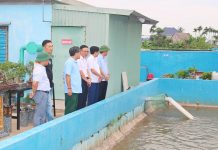 Giám sát về việc bảo đảm cấp nước sạch nông thôn tại huyện Kiến Thụy